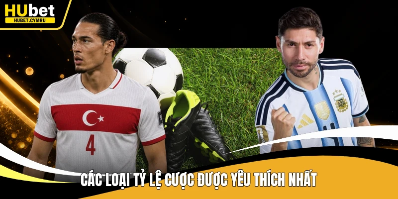 Các loại tỷ lệ cược được yêu thích nhất