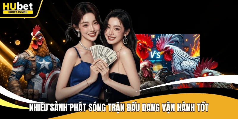 Nhiều sảnh phát sóng trận đấu đang vận hành tốt